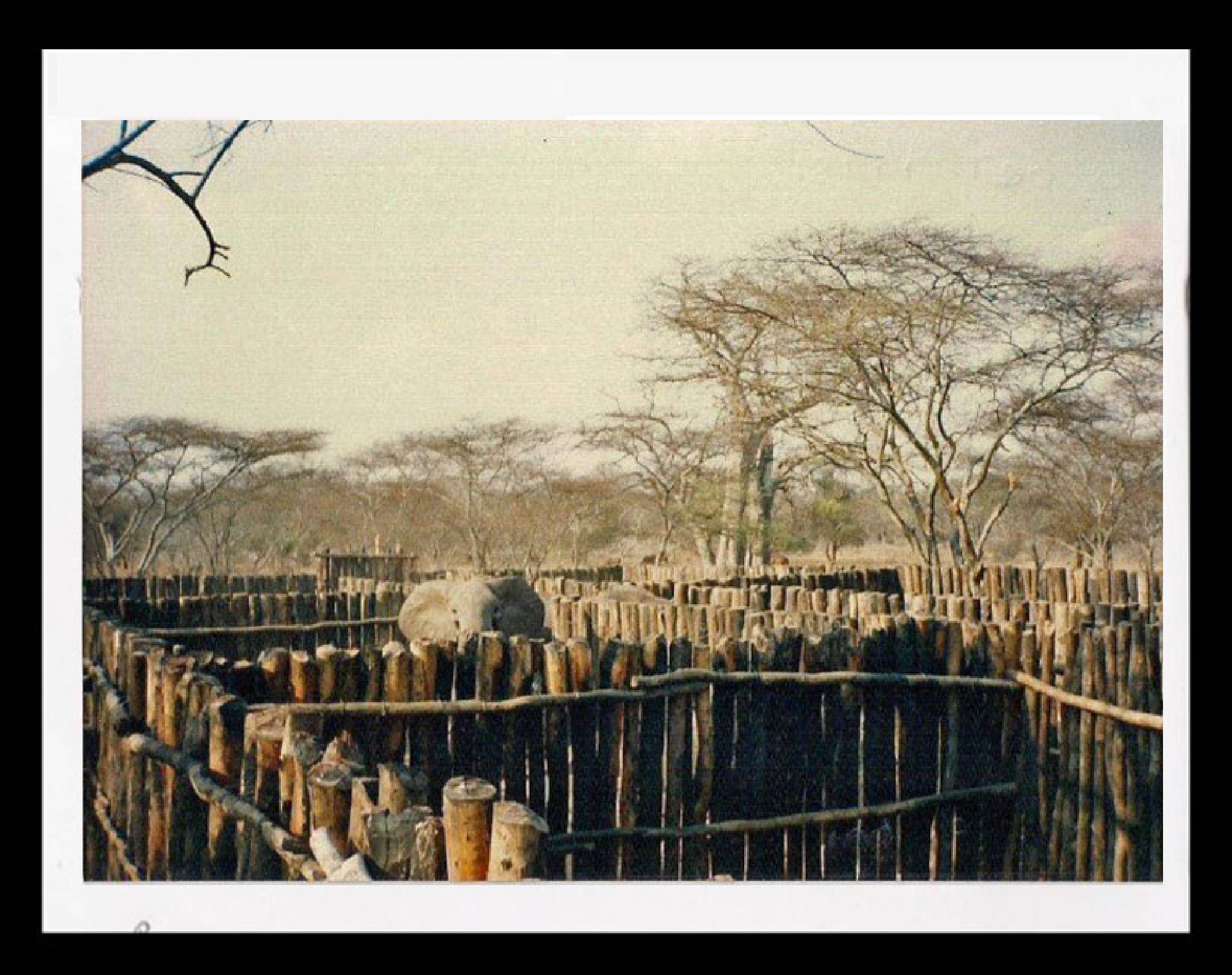 Sango_History_2