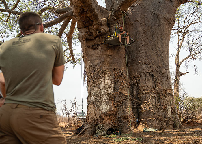 Baobab_Safari_2