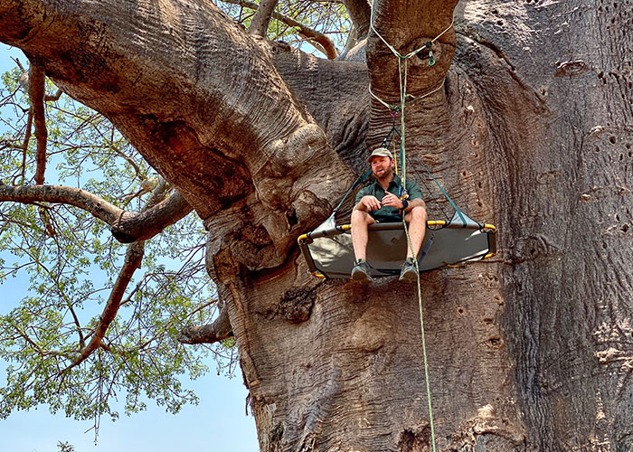 Baobab_Safari_3