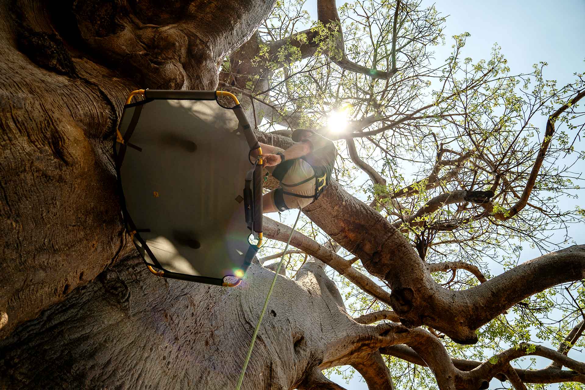 Baobab_Safari_Table