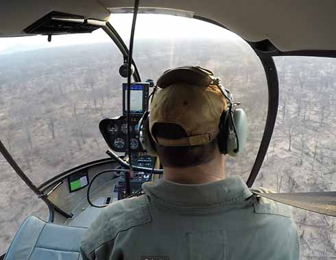 Seeking for a rhino to be marked
