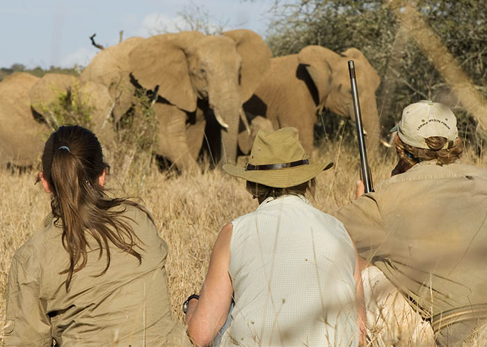 Sango_Walking_Safari_1