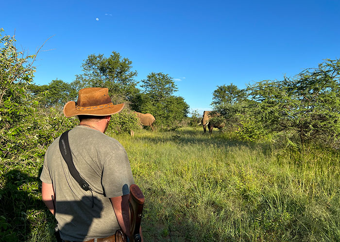 Walking_Safari